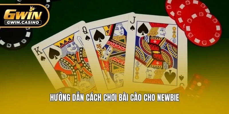 Hướng dẫn cách chơi bài cào cho newbie
